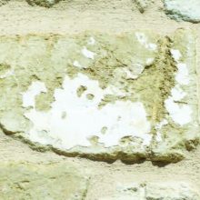 Les pierres blanches du temple: En 2005, le ravalement des façades du temple a mis en évidence des pierres recouvertes d’une croute blanche. Il s’agit de pierres de l’ancienne église portant encore l’enduit à la chaux qui recouvrait l’intérieur du bâtiment
