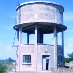1964