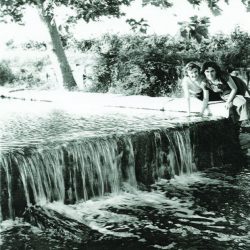 1951