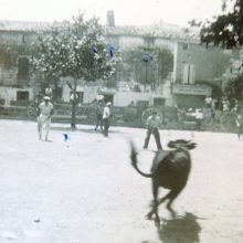 1938 • Taureau à la corde