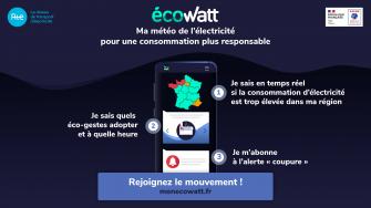 App-Ecowatt_large