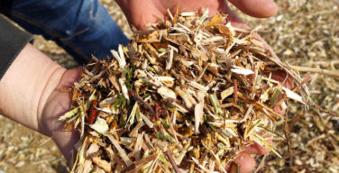 Service gratuit de broyage des végétaux à domicile